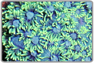 Metallic Green Flower Pot Coral